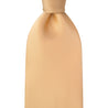 Champagne Gold Silk Tie