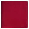 DB Apple Satin Pocket Square
