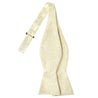 Cream Paisley Bowtie - Tie, bowtie, pocket square  | Kissties