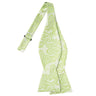Tea Green on White Paisley Bowtie - Tie, bowtie, pocket square  | Kissties