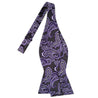 Electric Indigo-bordered White on Black Paisley Bowtie - Tie, bowtie, pocket square  | Kissties