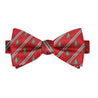 Felix Christmas Bow Tie - Tie, bowtie, pocket square  | Kissties